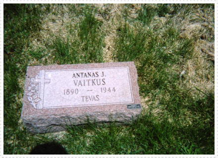 Waitkus Antanas Waitkus Antanas
